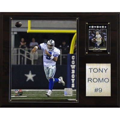 NFL Pittsburgh Steelers Troy Polamalu Player Plaque