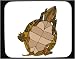 Decorated Mouse Pad with belly, stomach, reptile, brown, turtle