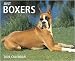   - Boxers Just Wall - 2008 Calendar