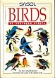 Birds of Southern Africa