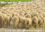 Produkt-Bild: Postkarte - Wer mit der Herde geht kann nur den &Auml;rschen folgen!
