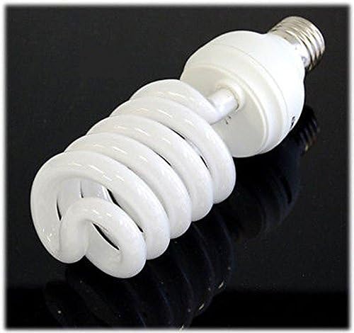 KAEZI 45 Watt Studio Grow Light Bulb Compact Fluorescent 5500K CFL Day Light Bulb (45 Watts) by Kaezi Photography