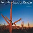 La Naturaleza de M�xico/Natural Landscapes of Mexico 2009 Square Wall Calendar