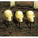 Skull Pathway Halloween Haunted House Lights with Sound (Set of 3)