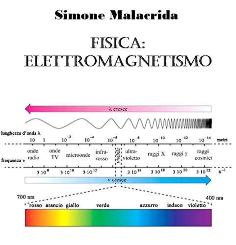 Fisica: elettromagnetismo (Italian Edition)
