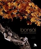 Bonsai: Escultura Y Naturaleza