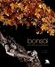 Bonsai: Escultura Y Naturaleza