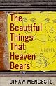 The Beautiful Things That Heaven Bears