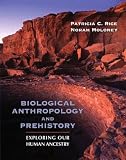 Cover for 9780205381968