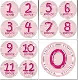 Picky Sticky Baby Month Onesie Stickers (Pinky Dinky)