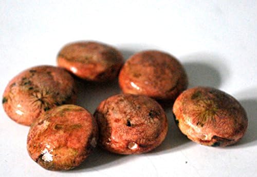 6 Orange Polymer Clay Beads Handmade Lentil Shape