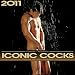 some 2011 male nude calendars