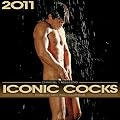 Channel 1 Releasing / Catalina Men: Iconic Cocks 2011 Wall Calendar (Village Lighthouse Inc)
