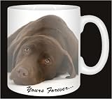 Review Advanta  / CHOCOLATE LABRADOR-VALENTINE GIFT Coffee Mug