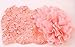 Towallmark(TM)1PC Lovely Rhinestone Unusual Angel Baby Pearl Flowers Hairband Headbands (Pink Pearl)