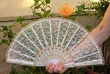 Spanischer Flamenco Spitzen-F�cher