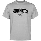 Alabama State Hornets Ash Logo Arch T-shirt