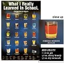 What I Really Learned In School Poster