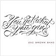You Get What You Give/2011 New Version by Zac Brown Band