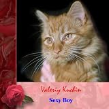 Sexy Boy