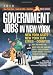 Government Jobs in New York [2010]: Jobs & Careers With New York State - New York Towns & Cities - New York Counties - New York Public Authorities - New York Teacher Jobs - Information Technology Jobs