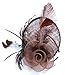Womens Feather Mesh Fascinator Hat with Headband Brown