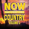 Now Country Volume 3 by Various Artists, Kenny Chesney, Lady Antebellum, Brad Paisley, Rascal Flatts, Keith Urban, George Strait, Dierks Bentley, Little Big Town, Luke Bryan