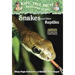 Magic Tree House Research Guide #23