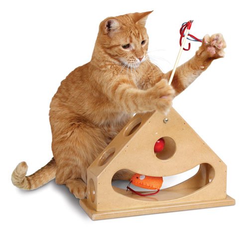 Smart Cat 3836 Tick Tock Teaser - Case of 4