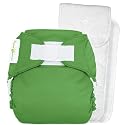 bumGenius One-Size Hook & Loop Closure Cloth Diaper 4.0 - Ribbit