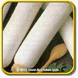 Leek Seeds - 'American Flag' Vegetable Seed Packet (500 ... thumbnail