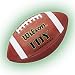 Wilson TDY Leather Football