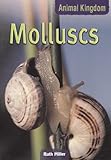 Molluscs