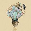 Casey Veggies - Live in Concert