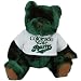 NCAA Colorado State Rams Green Mink Bear with School T-shirt