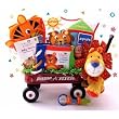 Baby Einstein Wild Wilderness Gift Basket
