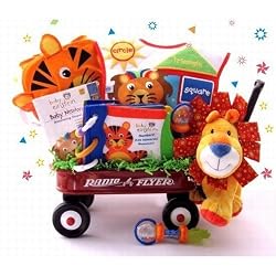 Baby Einstein Wild Wilderness Gift Basket