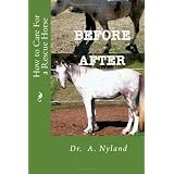 How to Care for a Rescue Horse