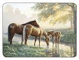 Jason Horses Placemats - Set of 4 (Large)