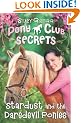 Stardust and the Daredevil Ponies (Pony Club Secrets, Book 4)