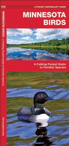 Minnesota Birds: A Folding Pocket Guide to Familiar Species (Pocket Naturalist Guide Series)