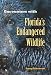 Encounters with Florida's Endangered Wildlife