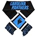Carolina Panthers 2012 Team Stripe Scarf