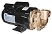 DAYTON 4JPE4 Turbine Pump, 1 1/2 HP, 1 Ph, 13.5/6.4 Amp