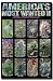 America's Most Wanted II (Pot Plants) Art Poster Print - 24" X 36"