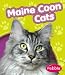 maine coon - Maine Coon Cats (Pebble Books)