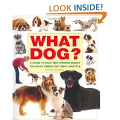 What Dog?