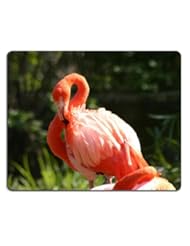 Flamingo Pink Water Posing Pretty Mouse Pads Customized Made to Order Support Ready 9 7/8 Inch (250mm) X 7 7/8 Inch (200mm) X 1/16 Inch (2mm) High Quality Eco Friendly Cloth with Neoprene Rubber MSD Mouse Pad Desktop Mousepad Laptop Mousepads Comfortable Computer Mouse Mat Cute Gaming Mouse_pad