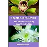 spectacular orchids the basics of growing your own orchids