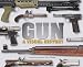 Gun: A Visual History